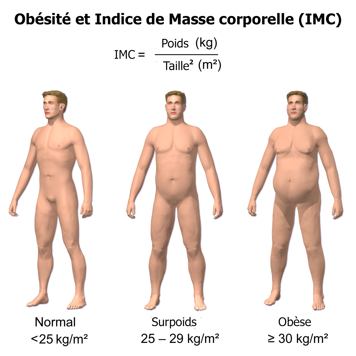 Indice de masse corporelle (IMC)