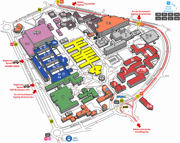 Site Horta (plan)